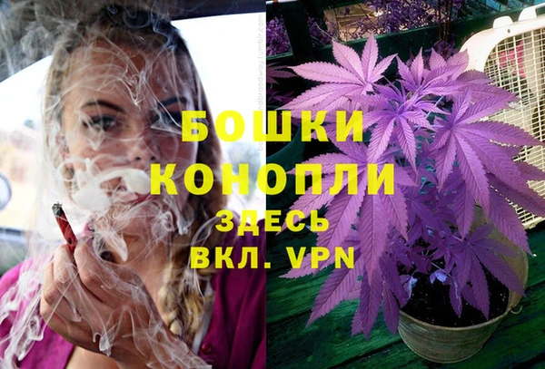 spice Баксан