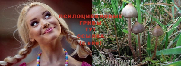 spice Баксан